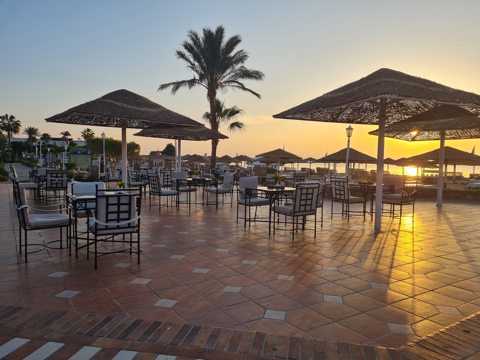 PARADISE ABU SOMA
